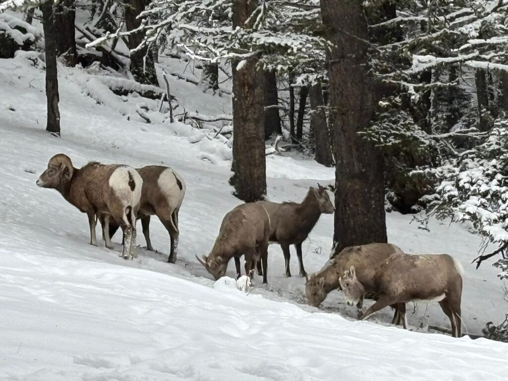 WhatsApp Image 2026 01 18 at 8.53.02 PM 3