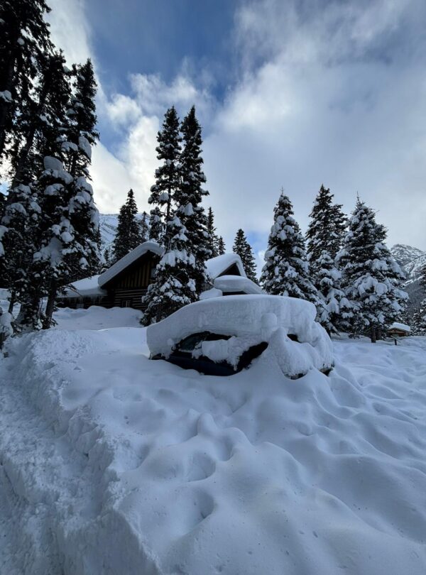 WhatsApp Image 2026 01 18 at 8.53.03 PM 3