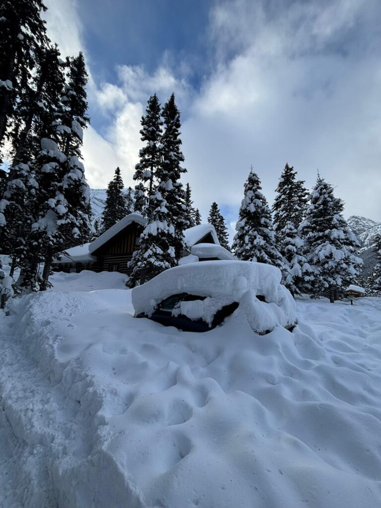 WhatsApp Image 2026 01 18 at 8.53.03 PM 3