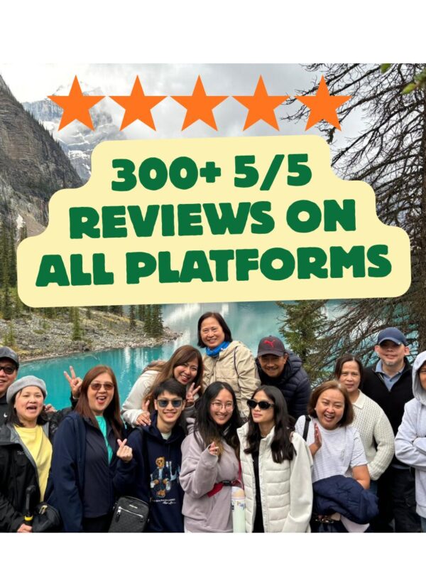 Over 300 5 Stars on booking platforms 1